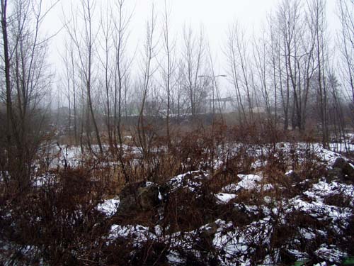 skladka-zezadu [18].jpg